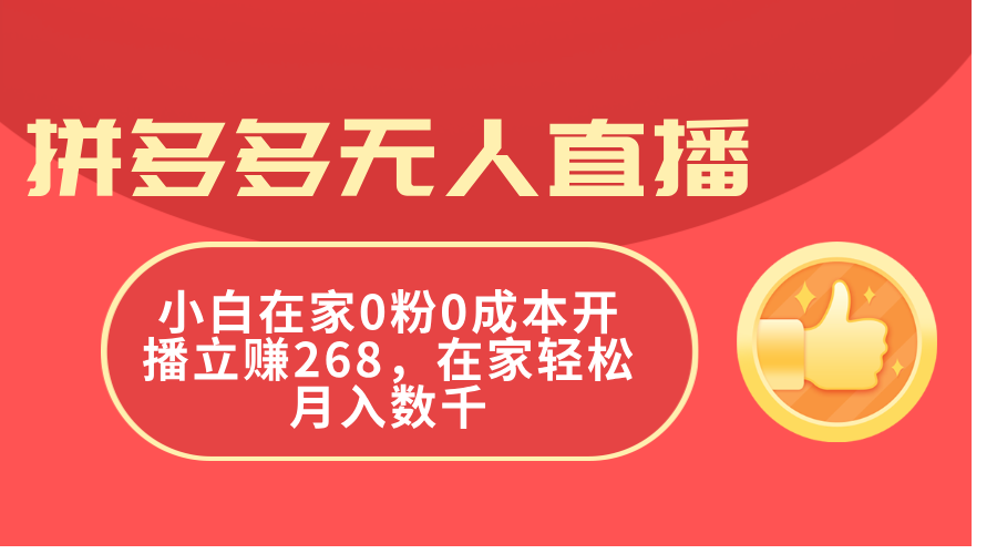 （11521期）拼多多无人直播，小白在家0粉0成本开播立赚268，在家轻松月入数千-追梦聊项目