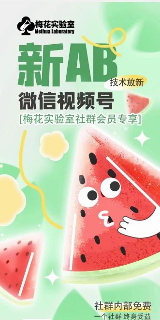 梅花实验室2024年AB技术视频号AB合成破解版-追梦聊项目