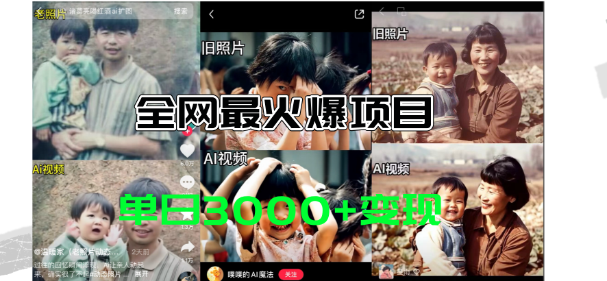 （11546期）全网爆火的AI让老照片动起来教程，蹭热点日赚3000+，内含免费工具一键…-追梦聊项目