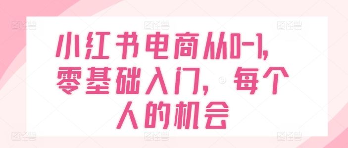 小红书电商从0-1，零基础入门，每个人的机会-追梦聊项目