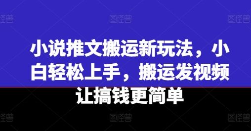 小说推文搬运新玩法，小白轻松上手，搬运发视频让搞钱更简单-追梦聊项目