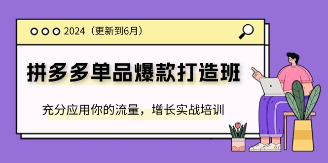 （11556期）2024拼多多-单品爆款打造班(更新6月)，充分应用你的流量，增长实战培训-追梦聊项目