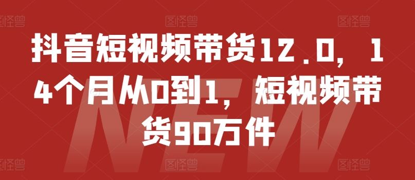 抖音短视频带货12.0，14个月从0到1，短视频带货90万件-追梦聊项目