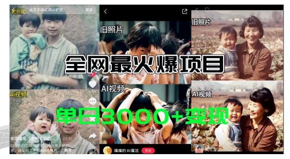 全网爆火的AI让老照片动起来教程，蹭热点日赚3k+，内含免费工具一键可生成【揭秘】-追梦聊项目