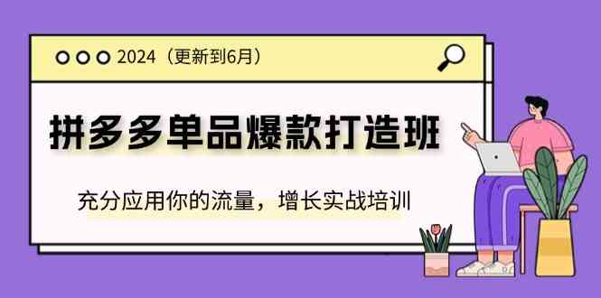 2024拼多多单品爆款打造班，充分应用你的流量，增长实战培训(更新6月)-追梦聊项目