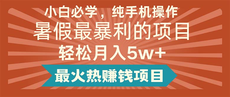 （11583期）小白必学，纯手机操作，暑假最暴利的项目轻松月入5w+最火热赚钱项目-追梦聊项目