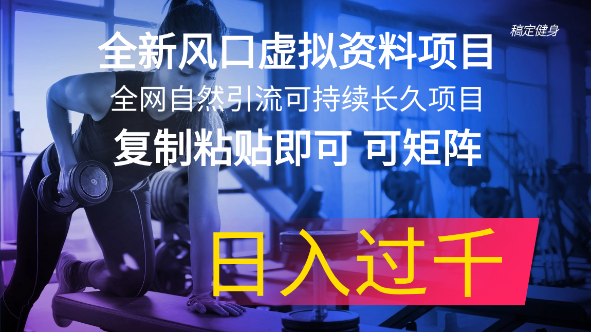 （11587期）全新风口虚拟资料项目 全网自然引流可持续长久项目 复制粘贴即可可矩阵…-追梦聊项目