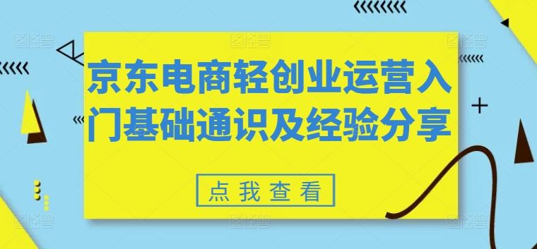 京东电商轻创业运营入门基础通识及经验分享-追梦聊项目