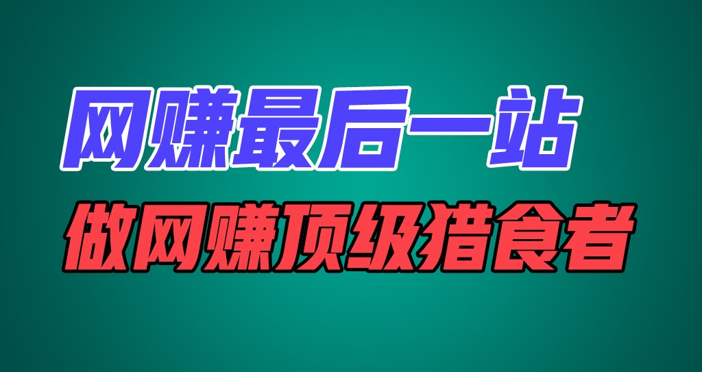网赚最后一站，卖项目，做网赚顶级猎食者-追梦聊项目