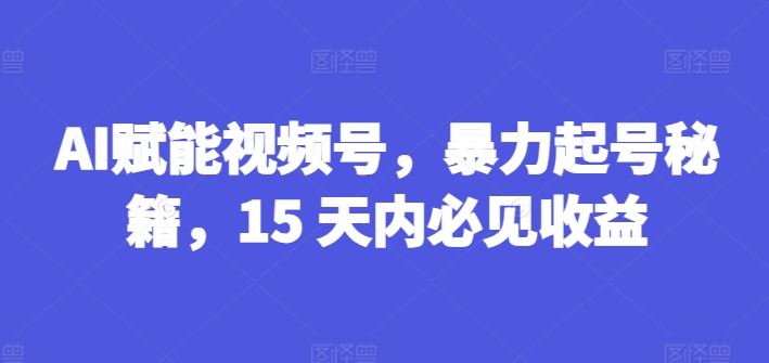 AI赋能视频号，暴力起号秘籍，15 天内必见收益【揭秘】-追梦聊项目