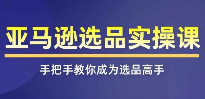 亚马逊选品实操课程，快速掌握亚马逊选品的技巧，覆盖亚马逊选品所有渠道-追梦聊项目