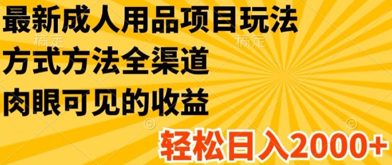 最新成人用品项目玩法，方式方法全渠道，轻松日入2K+【揭秘】-追梦聊项目