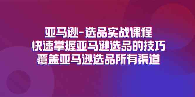 亚马逊选品实战课程，快速掌握亚马逊选品的技巧，覆盖亚马逊选品所有渠道-追梦聊项目