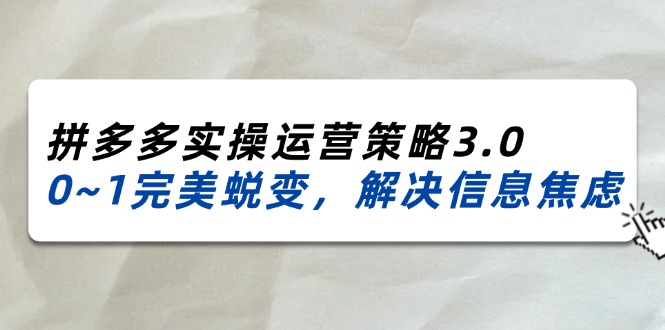 （11658期）2024_2025拼多多实操运营策略3.0，0~1完美蜕变，解决信息焦虑（38节）-追梦聊项目