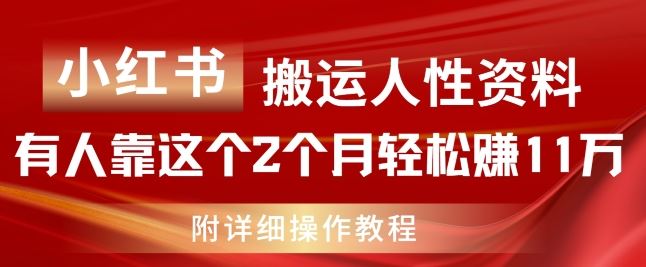 小红书搬运人性资料，有人靠这个2个月轻松赚11w，附教程【揭秘】-追梦聊项目