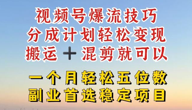 视频号爆流技巧，分成计划轻松变现，搬运 +混剪就可以，一个月轻松五位数稳定项目【揭秘】-追梦聊项目