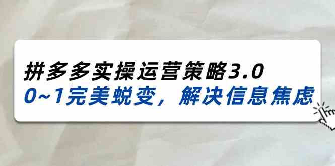 2024-2025拼多多实操运营策略3.0，0~1完美蜕变，解决信息焦虑（38节）-追梦聊项目