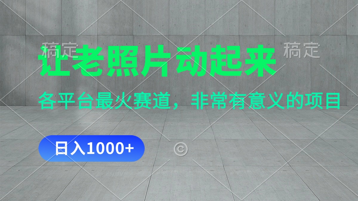 （11671期）让老照片动起来，一天变现1000+，各平台最火赛道，看完就会-追梦聊项目