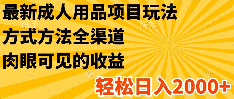 最新成人用品项目玩法，方式方法全渠道，肉眼可见的收益，轻松日入2000+-追梦聊项目