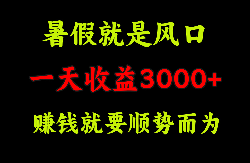 （11670期）一天收益3000+ 赚钱就是顺势而为，暑假就是风口-追梦聊项目