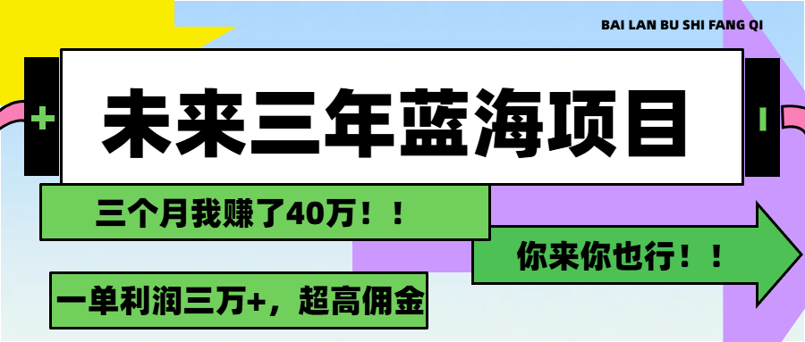（11716期）未来三年，蓝海赛道，月入3万+-追梦聊项目