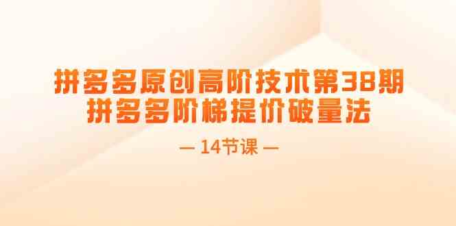 拼多多原创高阶技术第38期，拼多多阶梯提价破量法（14节课）-追梦聊项目