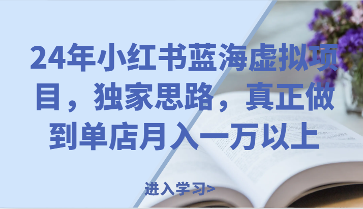 24年小红书蓝海虚拟项目，独家思路，真正做到单店月入一万以上。-追梦聊项目