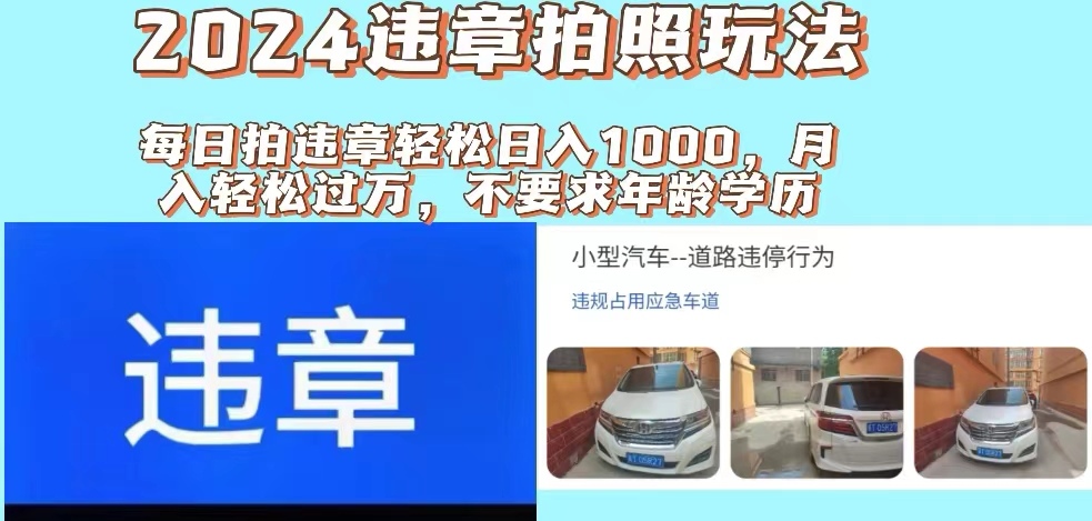 （11743期）2024违章拍照新玩法，推广躺赚+拍照赚钱双模式，日入1000+-追梦聊项目