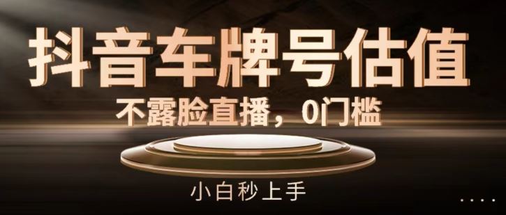 抖音车牌号估值，不露脸直播，0门槛，小白秒上手【揭秘】-追梦聊项目