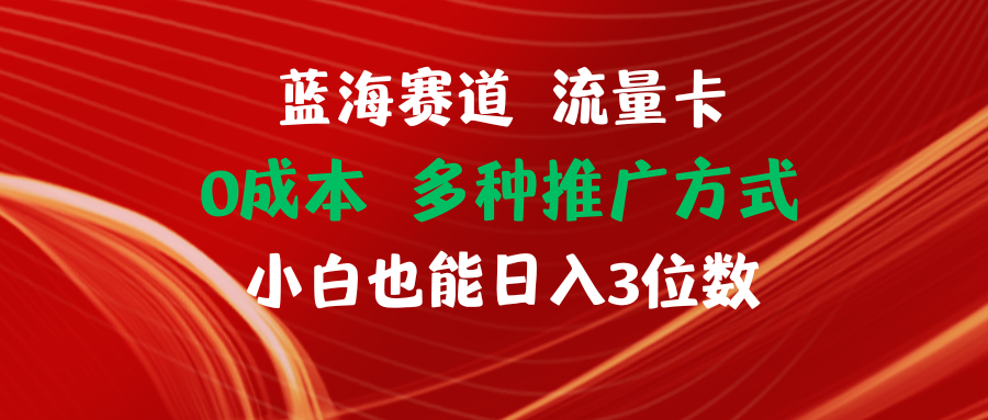 （11768期）蓝海赛道 流量卡 0成本 小白也能日入三位数-追梦聊项目