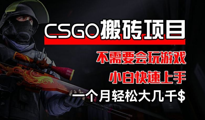 CSGO 装备搬砖项目，操作简单，不需要会玩游戏，小白也能快速上手，一个月轻松大几千【揭秘】-追梦聊项目