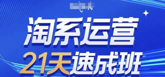 淘系运营21天速成班(更新24年7月)，0基础轻松搞定淘系运营，不做假把式-追梦聊项目