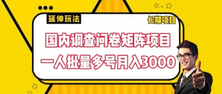 国内调查问卷矩阵项目，一人批量多号月入3000【揭秘】-追梦聊项目