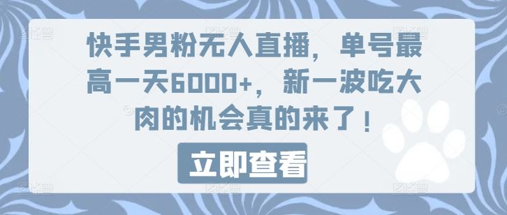 快手男粉无人直播，单号最高一天6000+，新一波吃大肉的机会真的来了-追梦聊项目