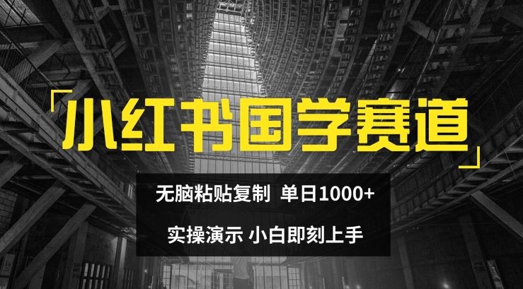 小红书国学赛道，无脑粘贴复制，单日1K，实操演示，小白即刻上手【揭秘】-追梦聊项目