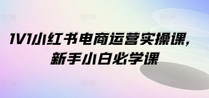 1V1小红书电商运营实操课，新手小白必学课-追梦聊项目