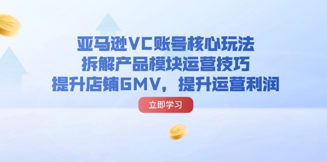 （11848期）亚马逊VC账号核心玩法，拆解产品模块运营技巧，提升店铺GMV，提升运营利润-追梦聊项目