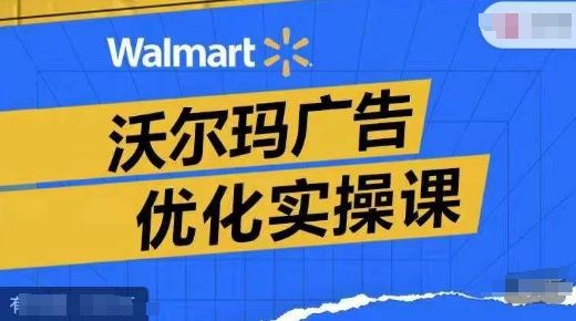 沃尔玛广告优化实操课，广告报告实操讲解，广告如何提高转化和ROAS等-追梦聊项目