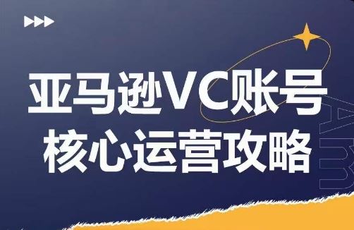 亚马逊VC账号核心玩法解析，实战经验拆解产品模块运营技巧，提升店铺GMV，有效提升运营利润-追梦聊项目