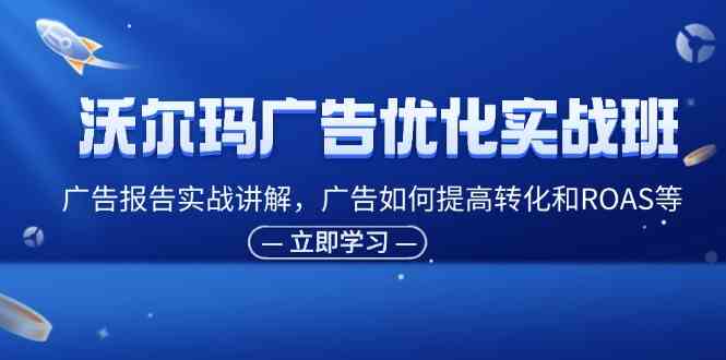 沃尔玛广告优化实战班，广告报告实战讲解，广告如何提高转化和ROAS等-追梦聊项目