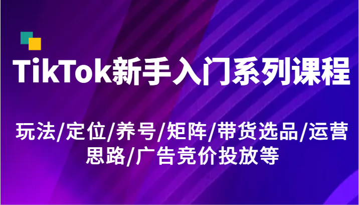 TikTok新手入门系列课程，玩法/定位/养号/矩阵/带货选品/运营思路/广告竞价投放等-追梦聊项目