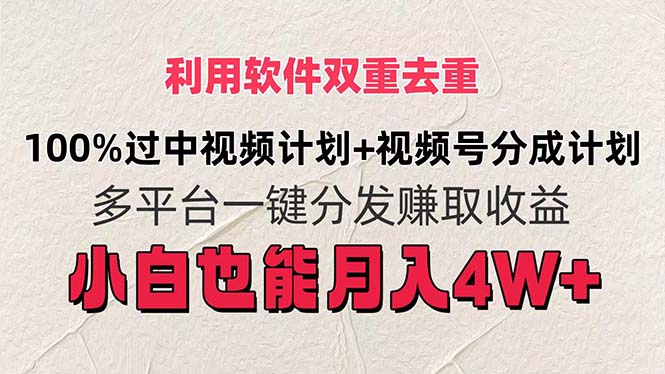 （11862期）利用软件双重去重，100%过中视频+视频号分成计划小白也可以月入4W+-追梦聊项目