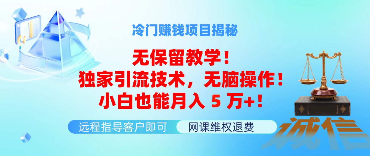 （11864期）冷门赚钱项目无保留教学！独家引流技术，无脑操作！小白也能月入5万+！-追梦聊项目