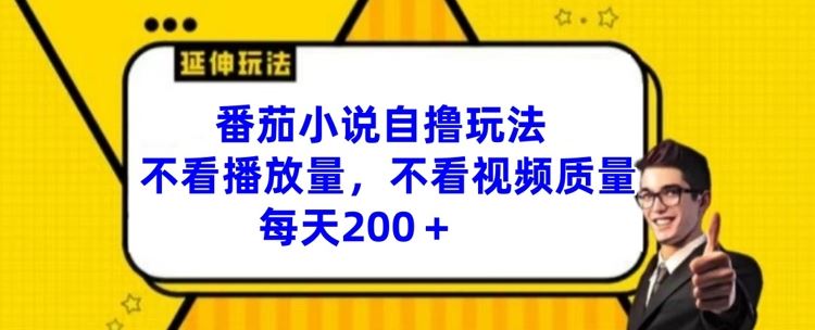 番茄小说自撸玩法，不看播放量，不看视频质量，每天200+【揭秘】-追梦聊项目