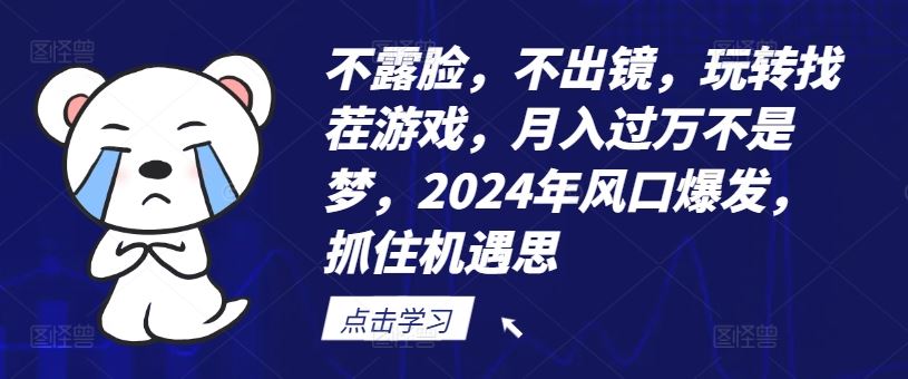 不露脸，不出镜，玩转找茬游戏，月入过万不是梦，2024年风口爆发，抓住机遇【揭秘】-追梦聊项目