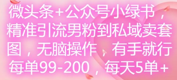 微头条+公众号小绿书，精准引流男粉到私域卖套图，无脑操作，有手就行，每单99-200，每天5单-追梦聊项目