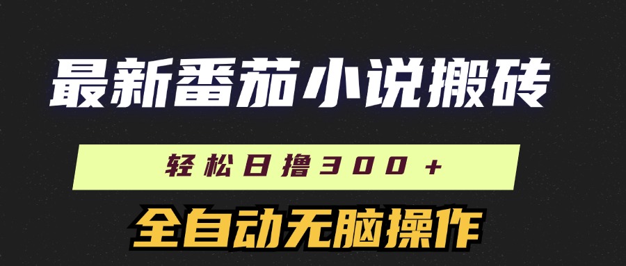 （11904期）最新番茄小说搬砖，日撸300＋！全自动操作，可矩阵放大-追梦聊项目