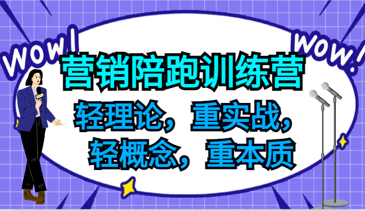 营销陪跑训练营，轻理论，重实战，轻概念，重本质，适合中小企业和初创企业的老板-追梦聊项目