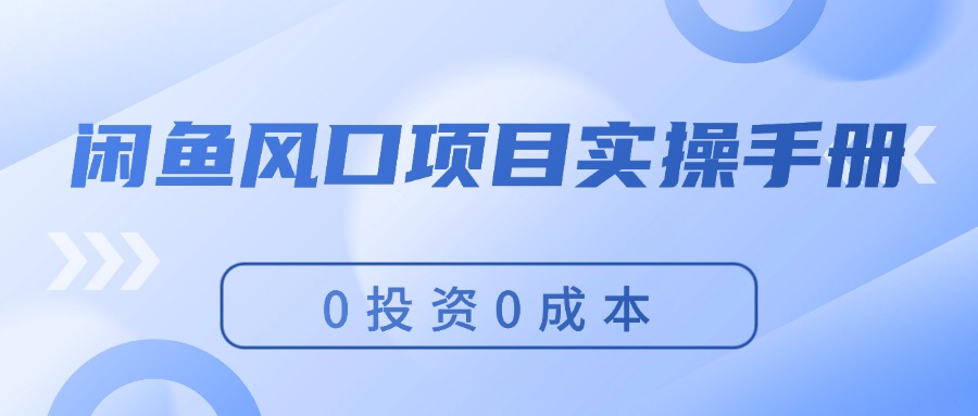 （11923期）闲鱼风口项目实操手册，0投资0成本，让你做到，月入过万，新手可做-追梦聊项目