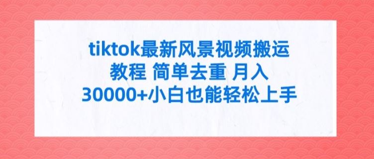 tiktok最新风景视频搬运教程 简单去重 月入3W+小白也能轻松上手【揭秘】-追梦聊项目